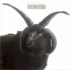 The Cult by The Cult