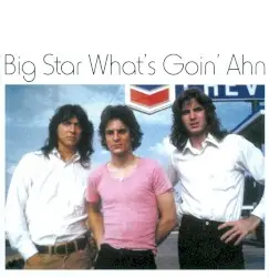 What’s Goin’ Ahn by Big Star