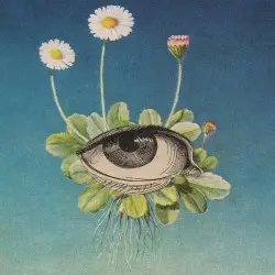 The Limited Circle Is Pure by øjeRum