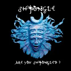 Are You Shpongled? by Shpongle