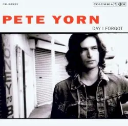 Day I Forgot by Pete Yorn