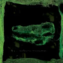 Down There by Avey Tare