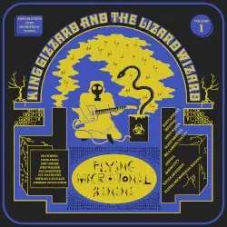 Flying Microtonal Banana by King Gizzard & the Lizard Wizard