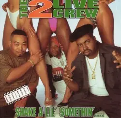 Shake a Lil’ Somethin’ by The 2 Live Crew