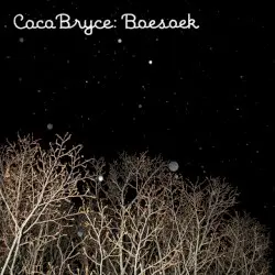 Boesoek by Coco Bryce