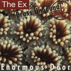 Enormous Door by The Ex & Brass Unbound