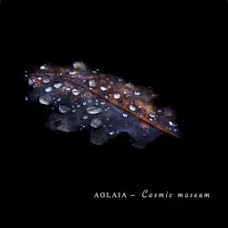 Cosmic Museum by Aglaia