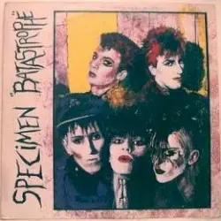 Batastrophe by Specimen
