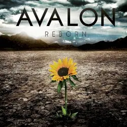 Reborn by Avalon
