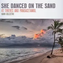 She Danced On The Sand by 4T Thieves and Pandacetamol