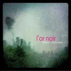L’Or noir by Arthur H & Nicolas Repac