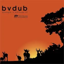 Strength in Solitude LP by bvdub
