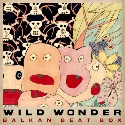 Wild Wonder by Balkan Beat Box