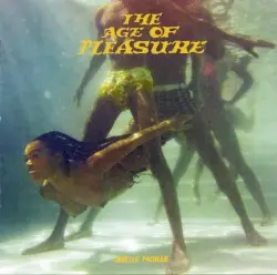 The Age of Pleasure by Janelle Monáe