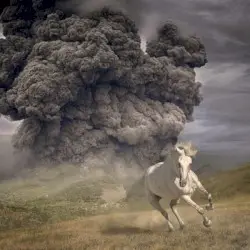 Year Of The Dark Horse by The White Buffalo