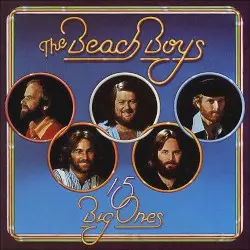 15 Big Ones by The Beach Boys