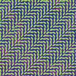 Merriweather Post Pavilion by Animal Collective