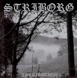 Trepidation by Striborg