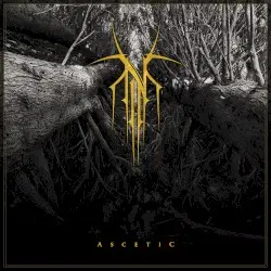 Ascetic by Norse