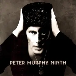 Ninth by Peter Murphy