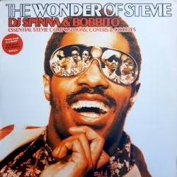 The Wonder Of Stevie (Essential Stevie Compositions, Covers & Cookies) by DJ Spinna & Bobbito