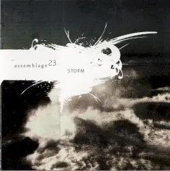 Storm by Assemblage 23