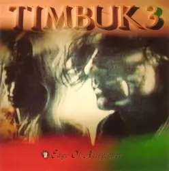 Edge of Allegiance by Timbuk 3