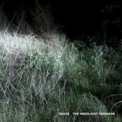 The Headlight Serenade by Triosk