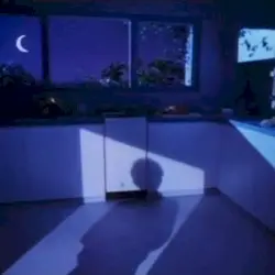 Revenir by CANAL+