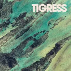 Tigress by Coppice Halifax
