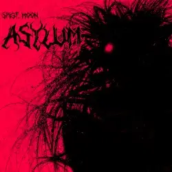ASYLUM by Srgt. Moon
