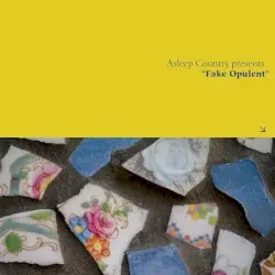 Fake Opulent by Asleep Country