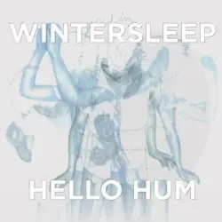 Hello Hum by Wintersleep