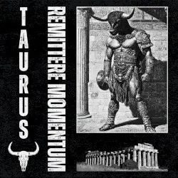 TAURUS by Remittere Momentum