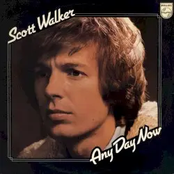 Any Day Now by Scott Walker