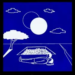 I Blew on a Dandelion and the Whole World Disappeared by American Pleasure Club