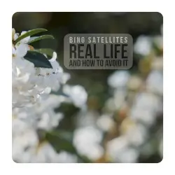 Real Life and How To Avoid It by Bing Satellites