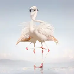 Green Language by Rustie