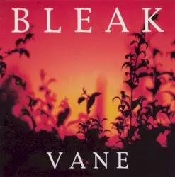 Vane by Bleak