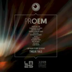 Twelve Tails by Proem