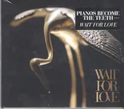 Wait for Love by Pianos Become the Teeth