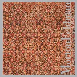 Patterns in a Chromatic Field by Morton Feldman