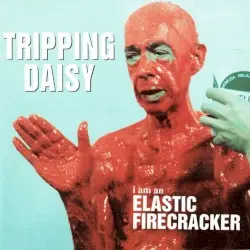 I Am an Elastic Firecracker by Tripping Daisy