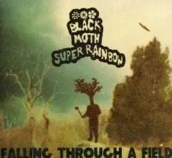 Falling Through a Field by Black Moth Super Rainbow