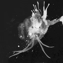 Route One by Sigur Rós