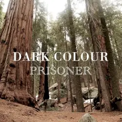 Prisoner by Dark Colour