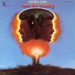 Save the Country by George Duke