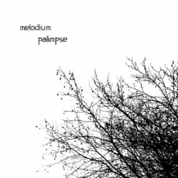 Palimpse by Melodium