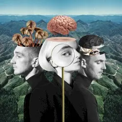 What Is Love? by Clean Bandit