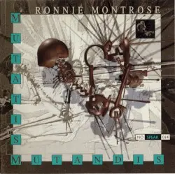 Mutatis Mutandis by Ronnie Montrose
